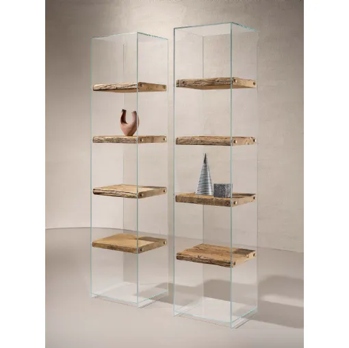 Libreria Frost con struttura in vetro trasparente e ripiani in legno Secolare naturale di Nature Design