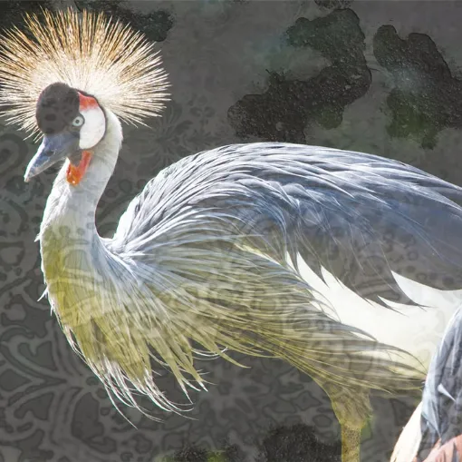 Carta da parati Birds di Creativespace