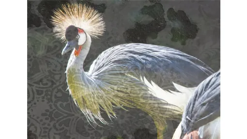 Carta da parati Birds di Creativespace