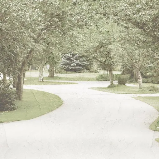 Carta da parati Park di Creativespace