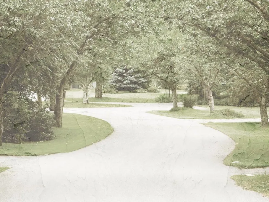 Carta da parati Park di Creativespace