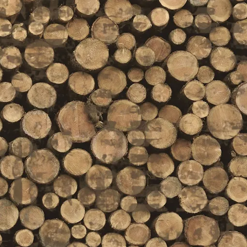 Carta da parati Wood di Creativespace