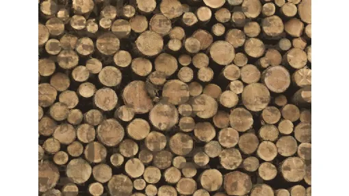 Carta da parati Wood di Creativespace