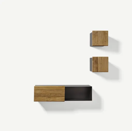 Mensola contenitore Finissimo Living in legno secolare e metallo di Nature Design