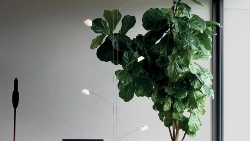 Lampada da terra Liiu di Luceplan