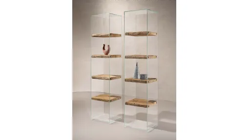 Libreria Frost con struttura in vetro trasparente e ripiani in legno Secolare naturale di Nature Design